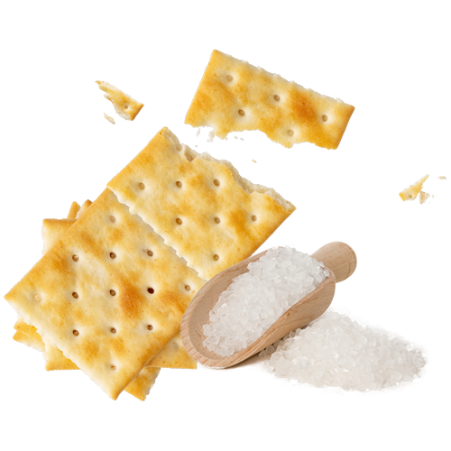 Salt soda kiks